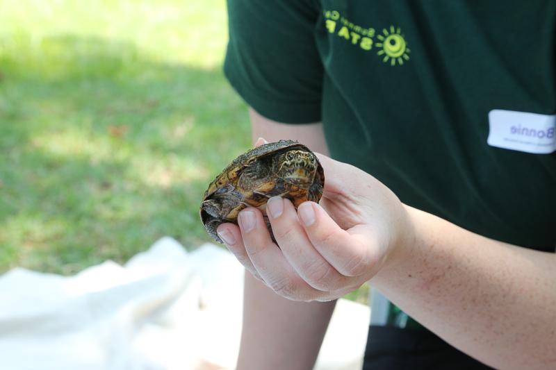 夏令营辅导员抱着一只乌龟