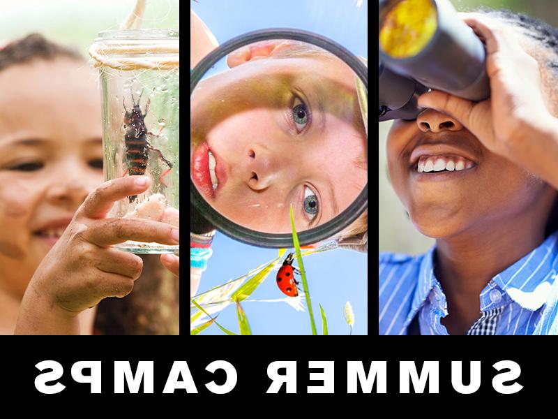 夏令营: teen looking through binoculars; boy looking through magnifying glass at ladybug; girl looking at insect in jar.
