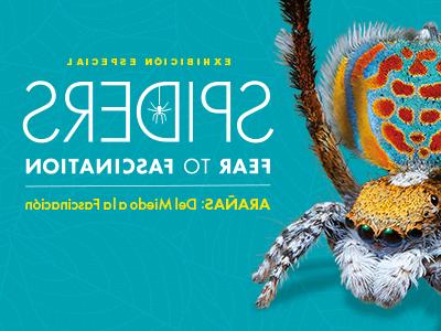 Exhibición Especial - Arañas: Del Miedo a la Fascinación